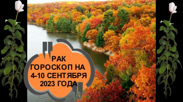 Дева ноябрь 2023. Успешной ноябрьской недели.