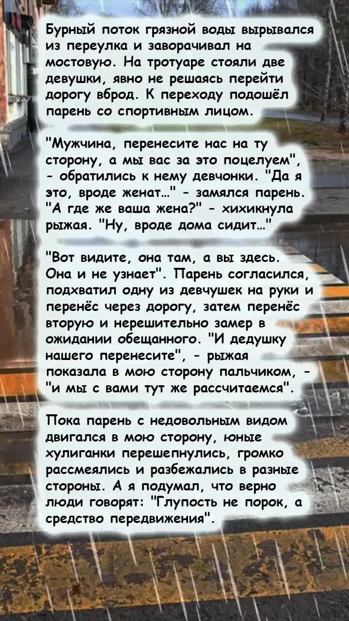 Буквовед | Глупость не порок, а средство передвижения | Дзен