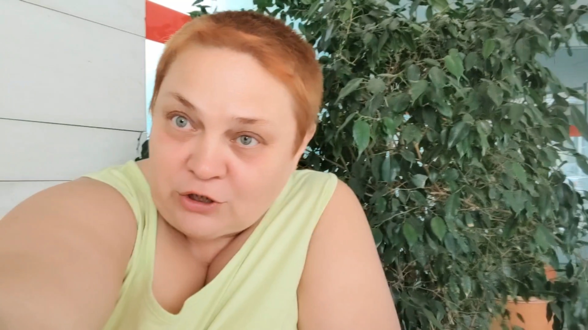 ирискина испания. ирискина. ирискина. ирискина испания. ирискина испания.