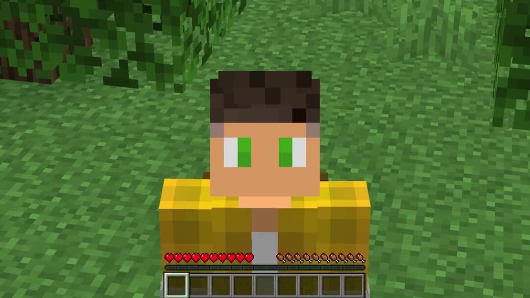 я поймал всех мобов в майнкрафт. нарисовать майнкрафт. мод metamorph 1. майнкрафт за 30 секунд. Lp майнкрафт 2.