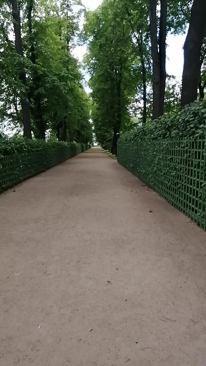 Летний сад в санкт петербурге сейчас фото