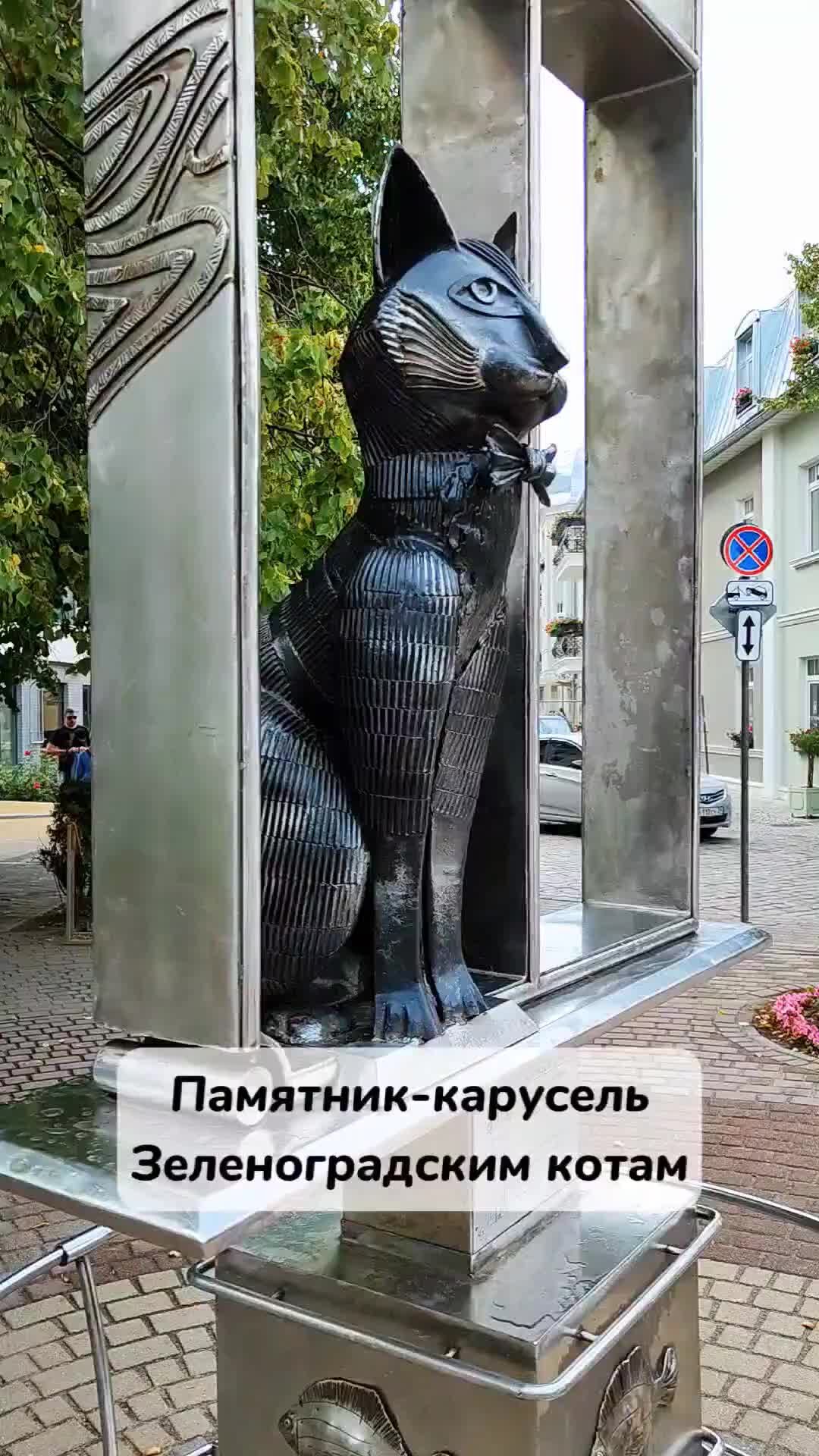 Фотография - Памятник зеленоградским котам
