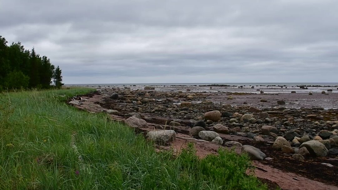 Норвежский сайт умбы. Белое море. Умба рыба. Белое море бетонные круги. Птицы Терского берега белого моря.