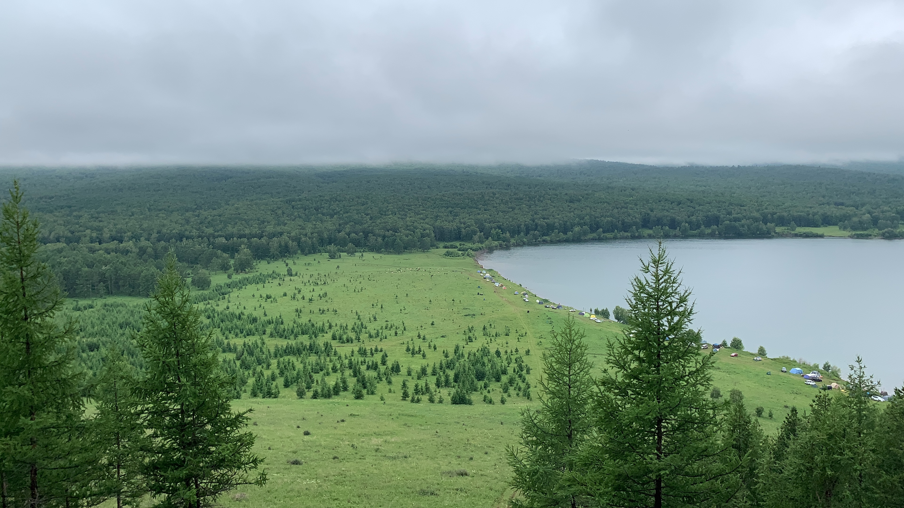 Куреево озеро алтайский край