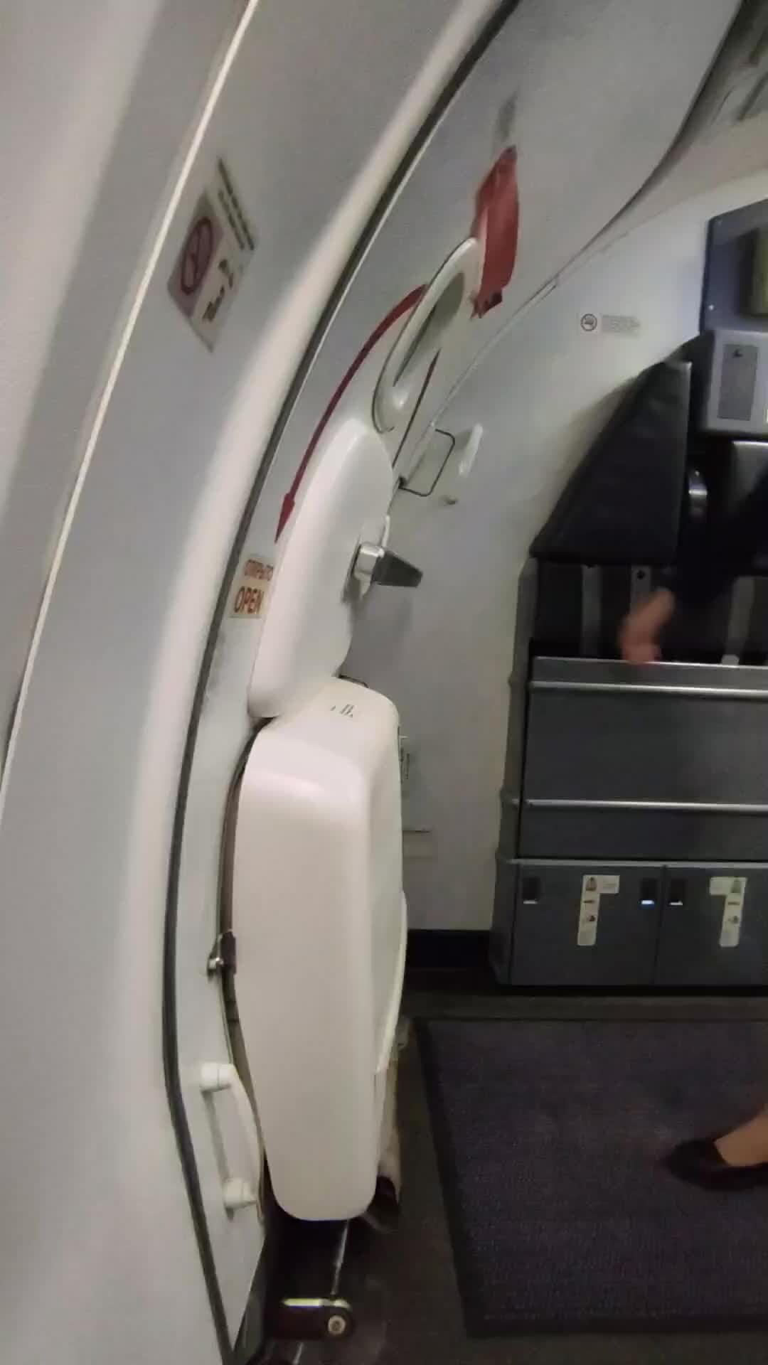 Открыл дверь в самолете. Дверь самолета. Rear Door в самолете. Открытая дверь в самолете в воздухе. Ремень дверь самолет.
