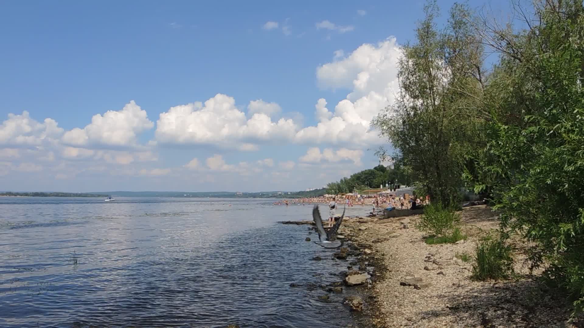пляжи в ульяновске на берегу волги