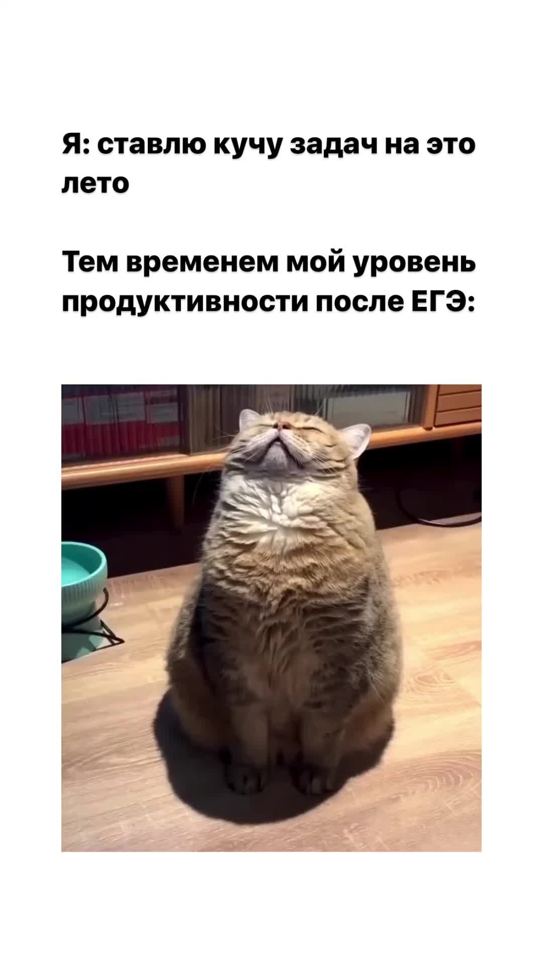 Боты егэ