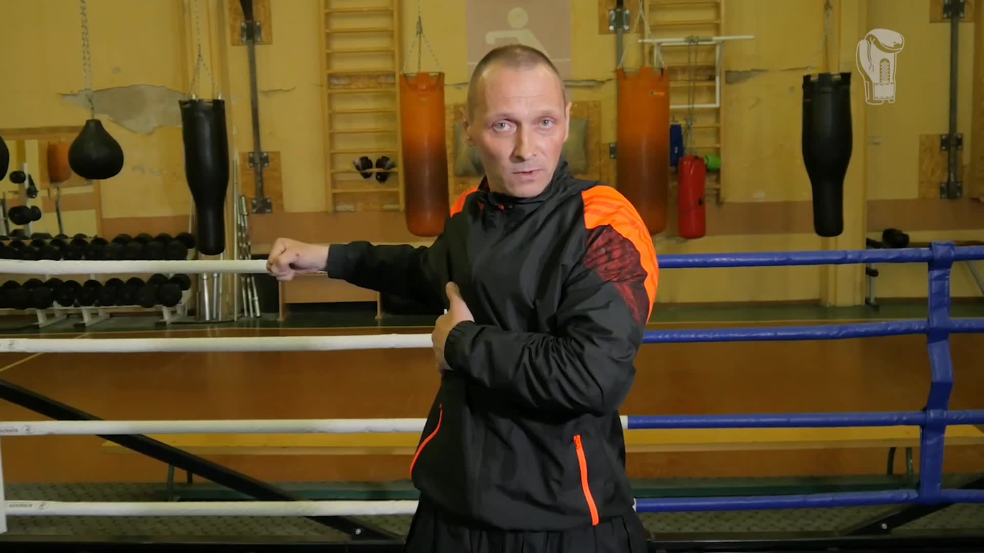 Raffaela raab militante veganerin