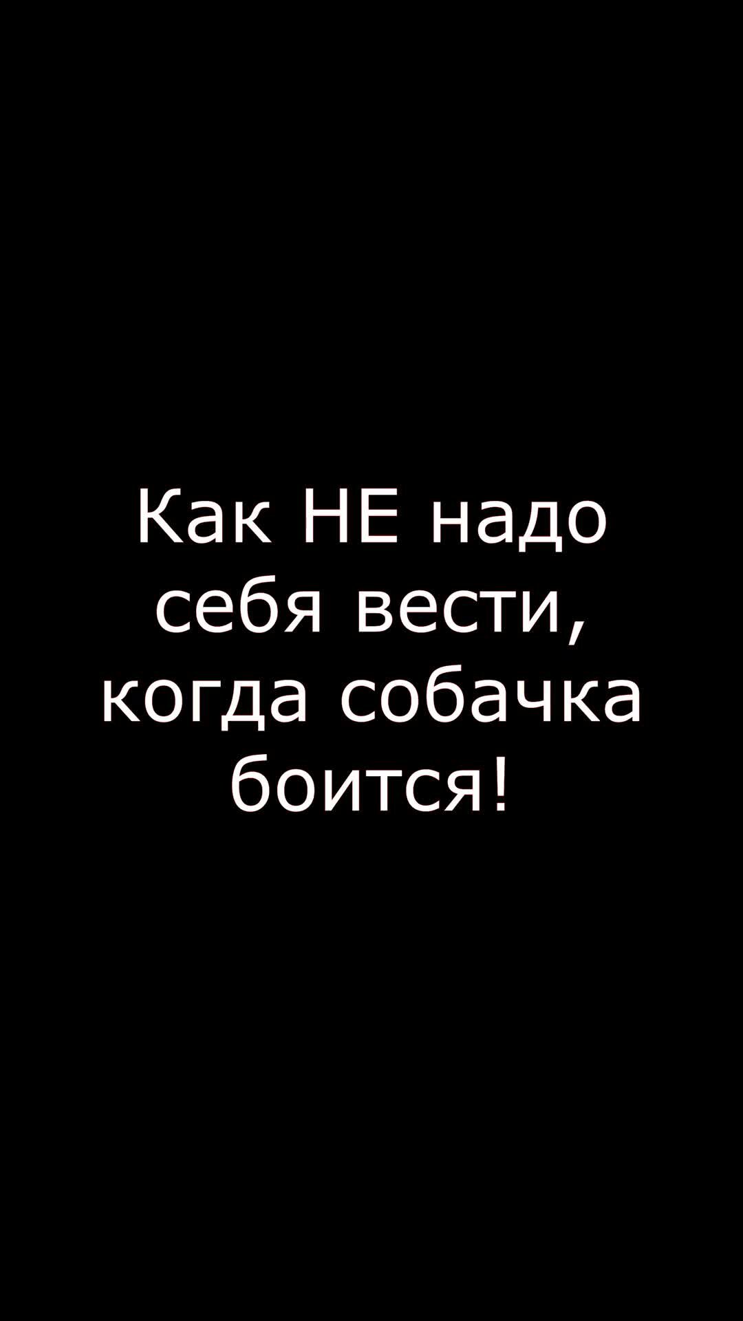 Сексуальная брюнетка ласкает свою розовую киску и раздевается для тебя - riosalon.ru