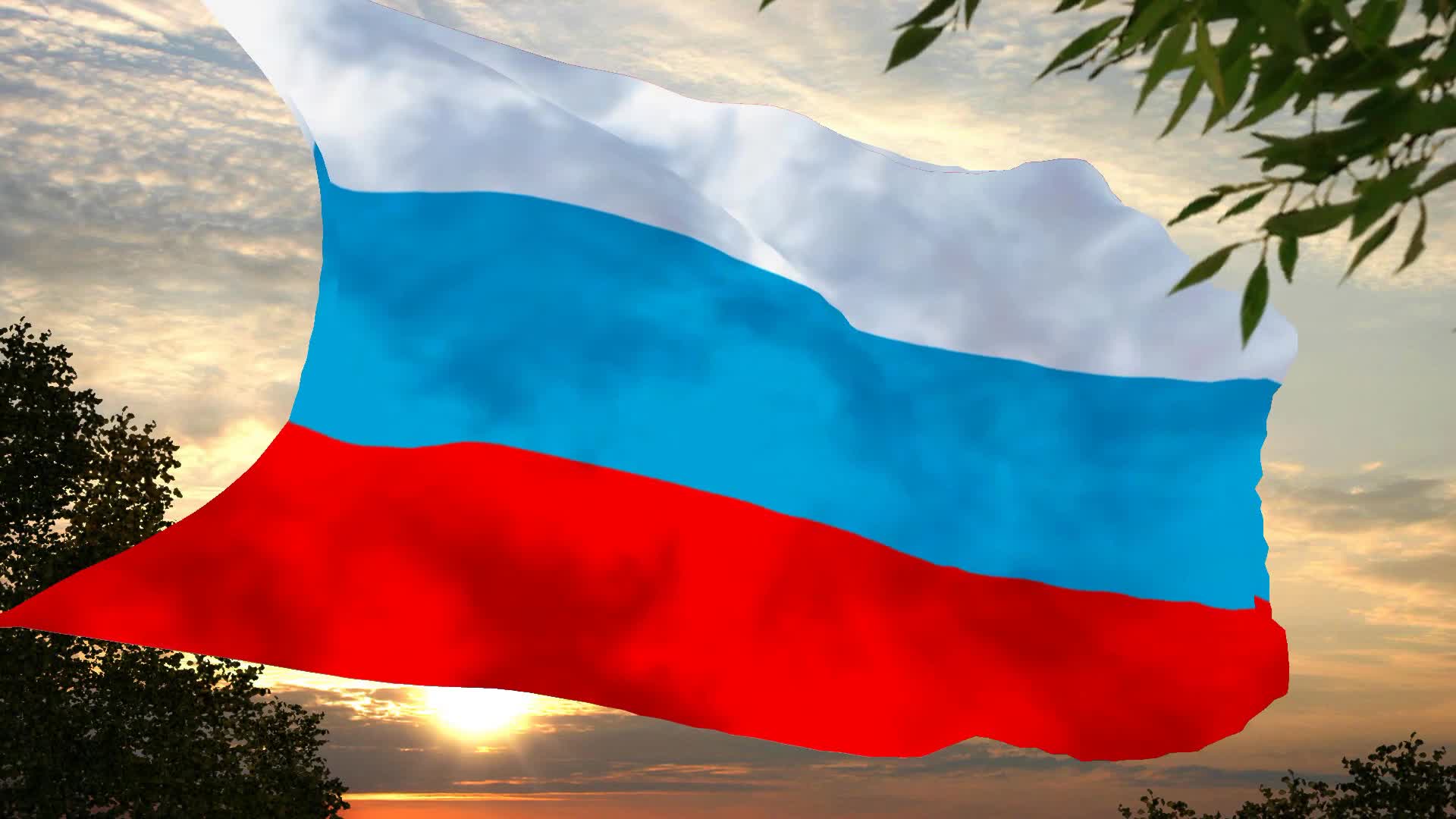 Флаг россии варианты