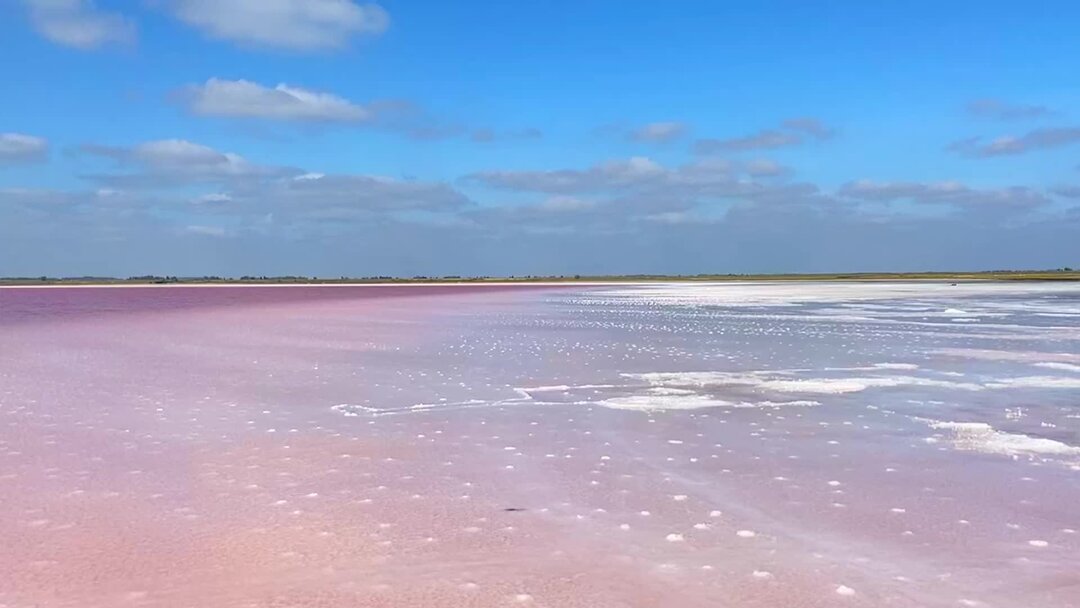 Бурлинское озеро алтай. Большое яровое озеро алтайского края. Озеро бурсоль яровое. Солёное озеро в алтайском крае бурлинское. Село завьялово солёное озеро алтай.