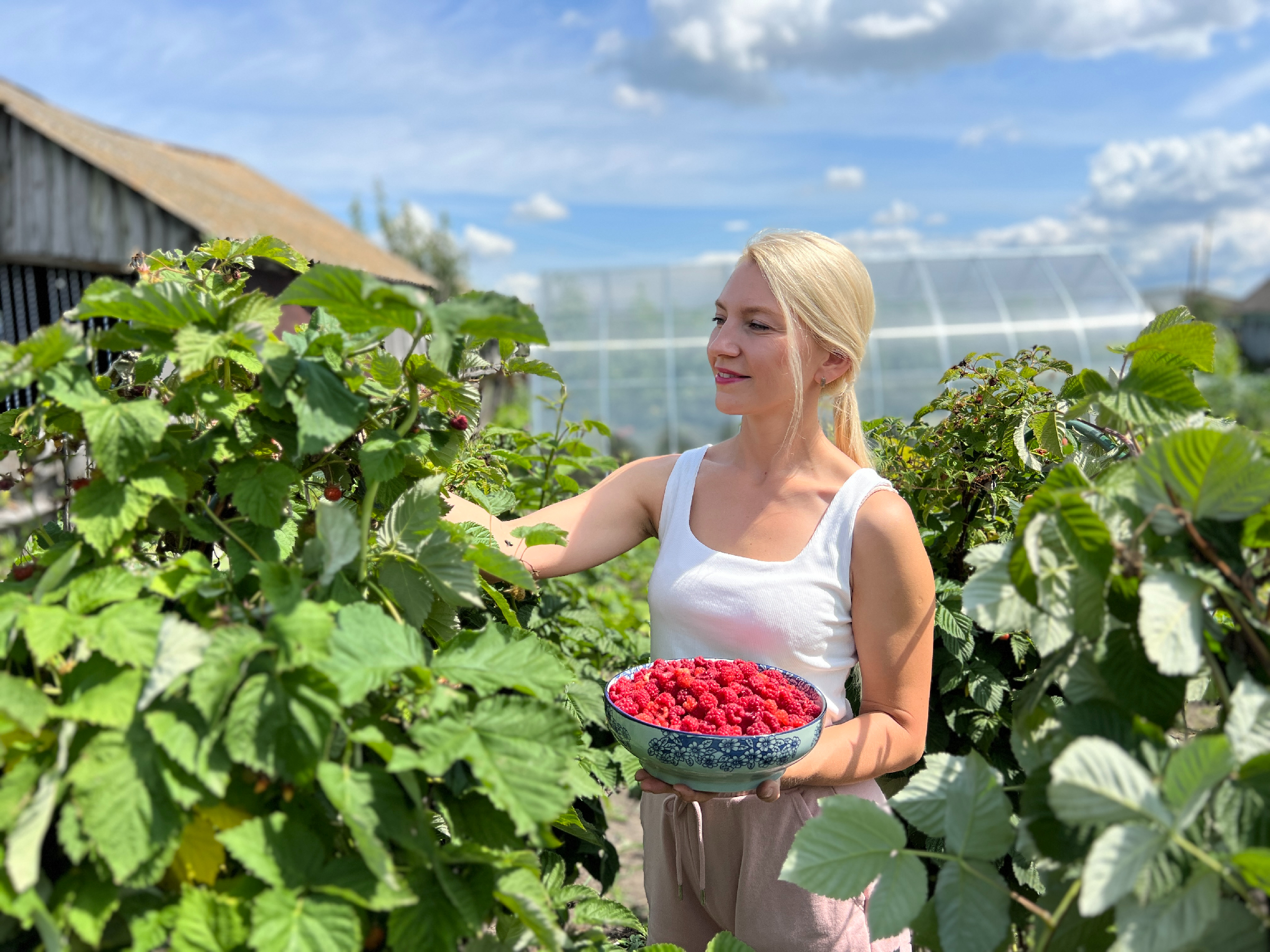 Последнее видео на дзен алены цветаевой