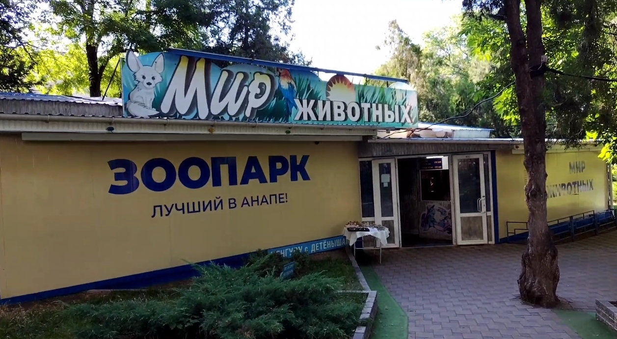 Анапа зоопарк балу. Зоопарк мадагаскар анапа. Анапа зоопарк какаду. Мадагаскар лагерь краснодарский край. Контактный зоопарк мир животных.