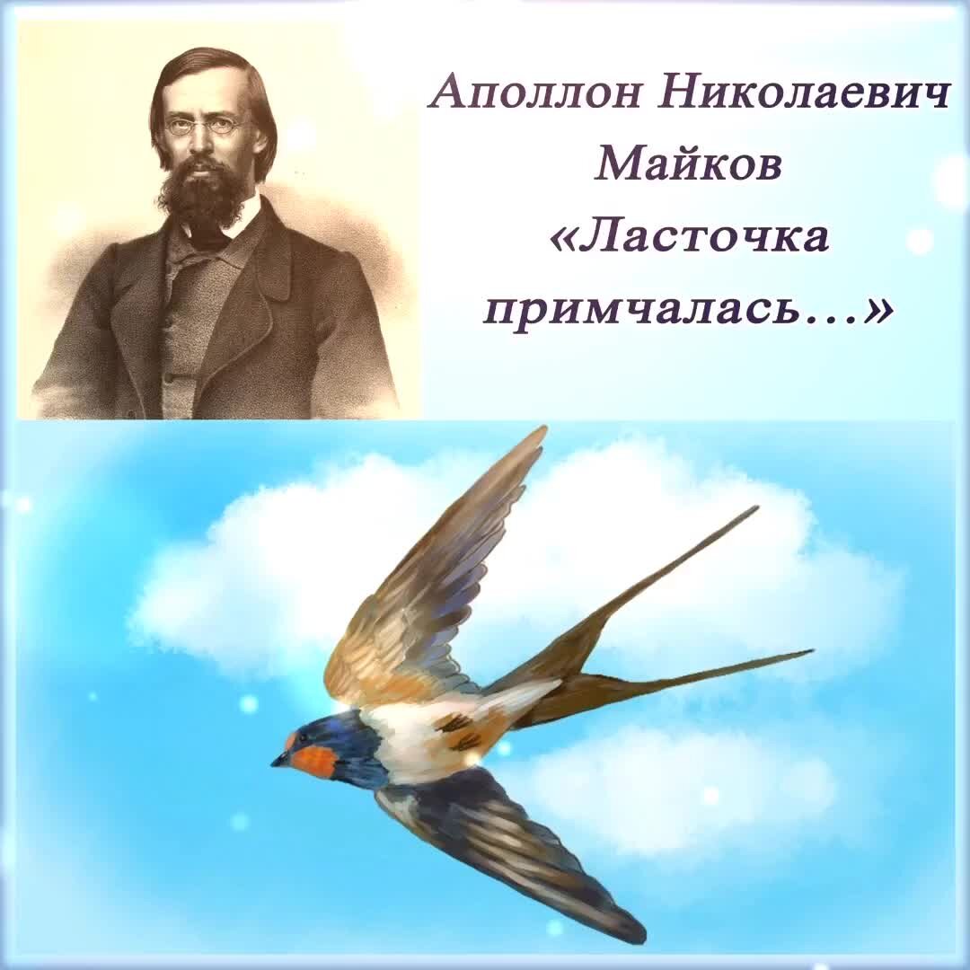 Стих ласточка примчалась из за бела моря. Майков Ласточка примчалась. Стихотворение Майкова Ласточка примчалась. А Н Майков ласточки. Стихотворение Ласточка примчалась.