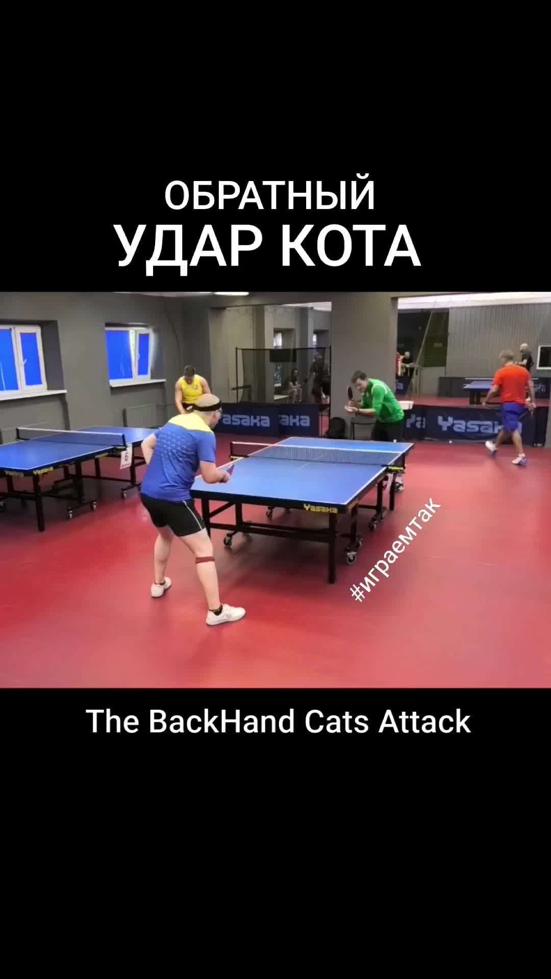 ttplayspb настольный теннис Санкт-Петербург | обратный Удар Кота The  BackHand Cats Attack Чудовищная техника настольный теннис table tennis  #играемтак | Дзен