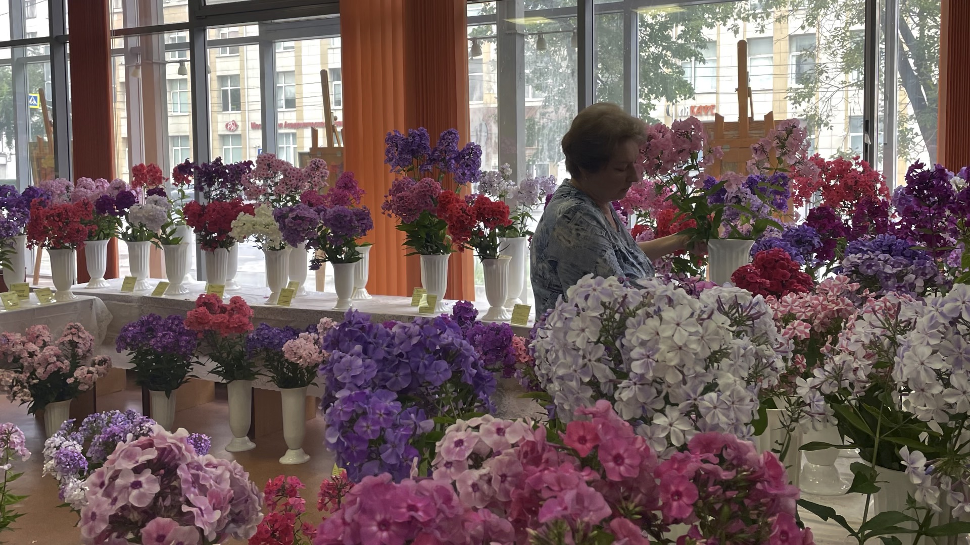 цветы грибоедова