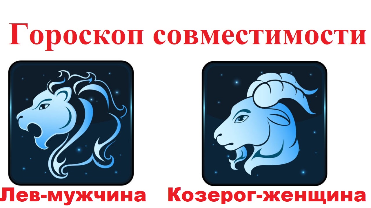 Козерог и лев совместимость