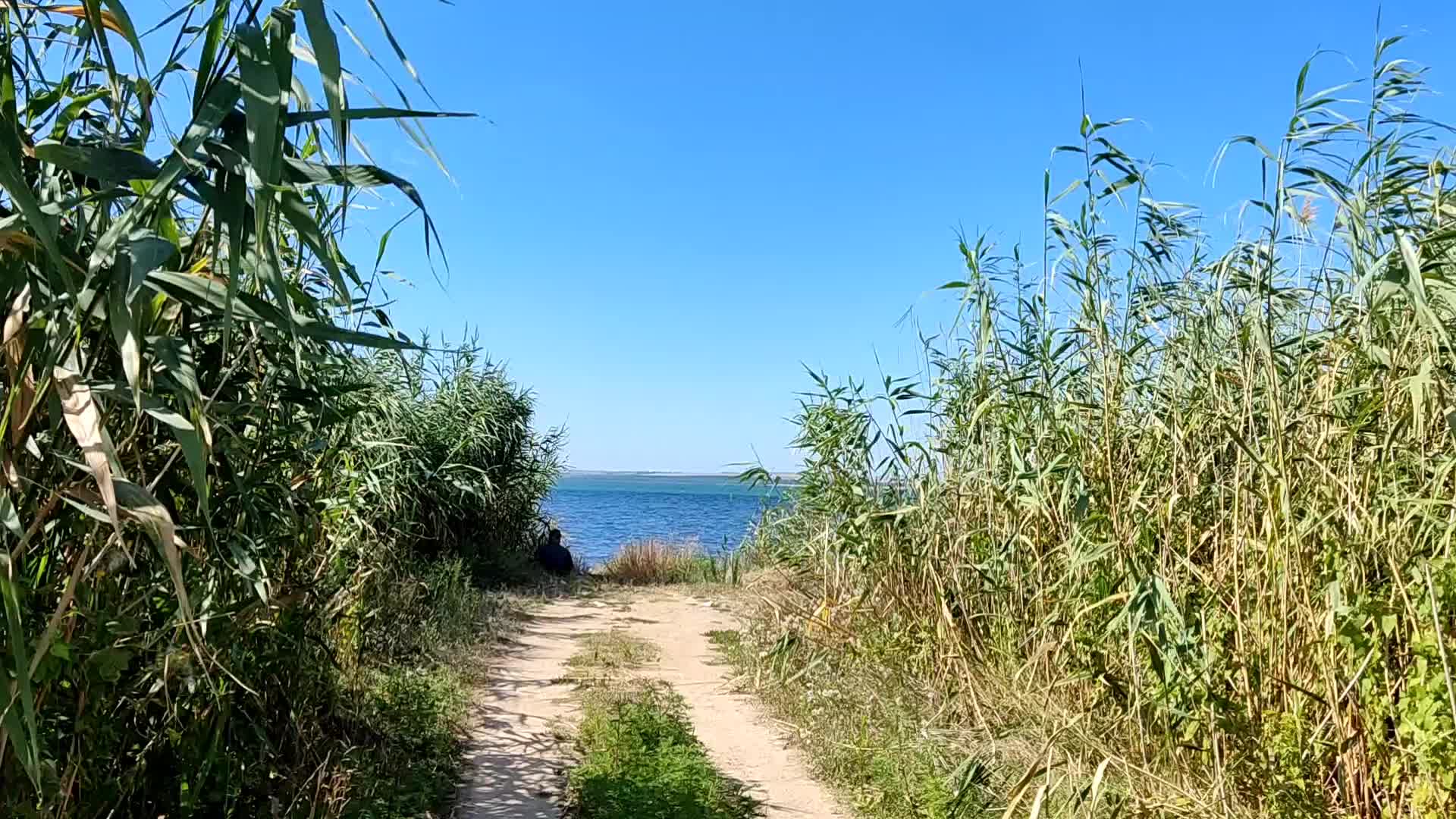 Погода в приморском краснодарский край. Азовское море Бердянская коса. Миусский Лиман Таганрог. Бердянск 2. Бердянская коса. Бердянск море коса.