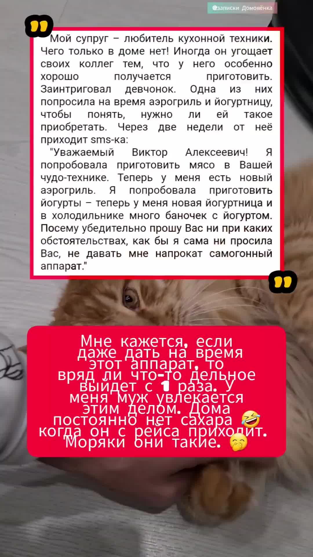 Ежедневный видео-дневник | Новая рубрика на канале @Записки Домовёнка 👈  “моё мнение за 5сек“ #юмор #посты #актуально #новости #интересное ⚡Выпуски  каждый день ⚡не забудьте подписаться.@Записки Домовёнка 👈 | Дзен