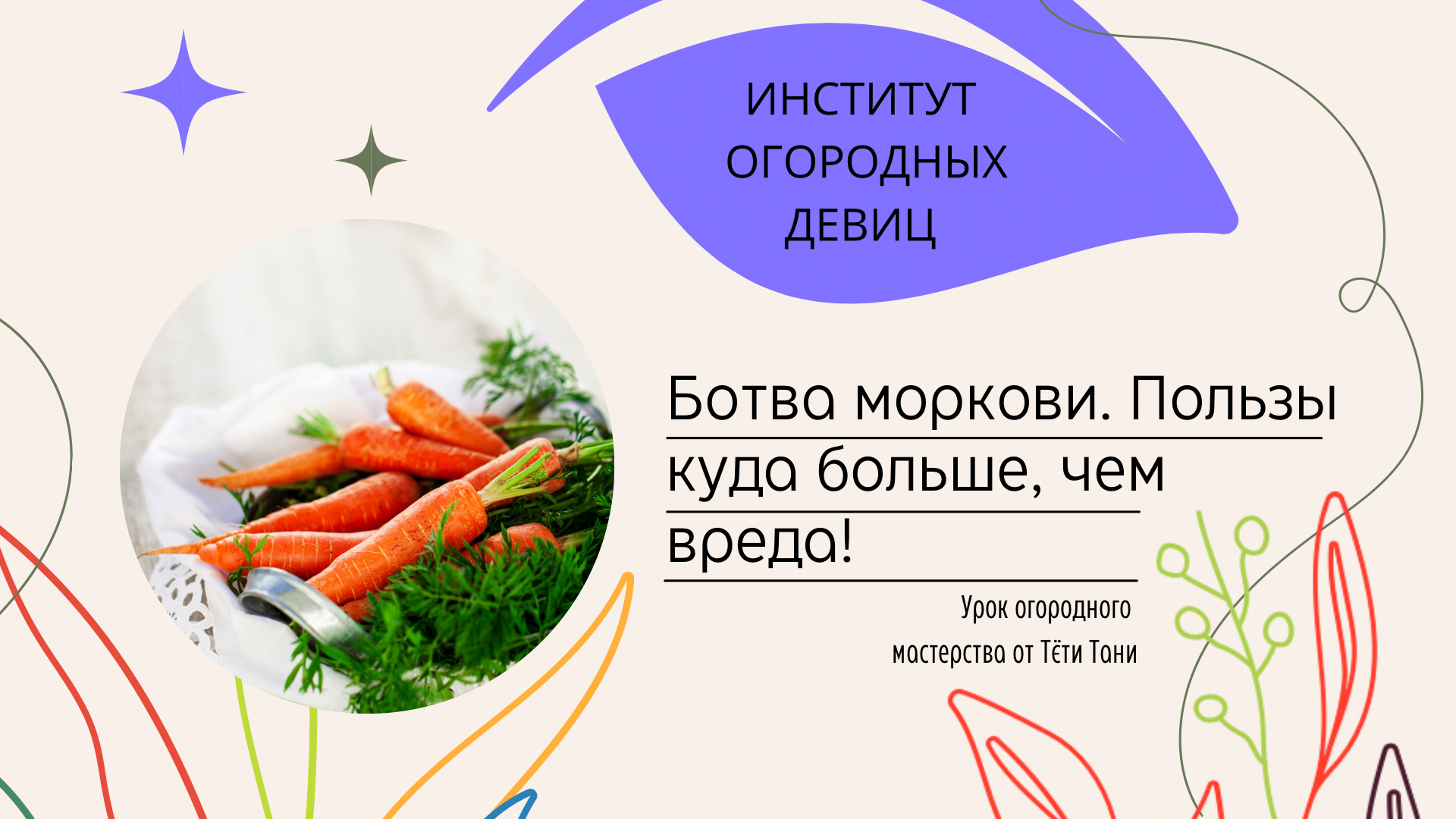 Чем полезна морковная ботва для человека здоровья. Как упаковывают и хранят корнеплоды.