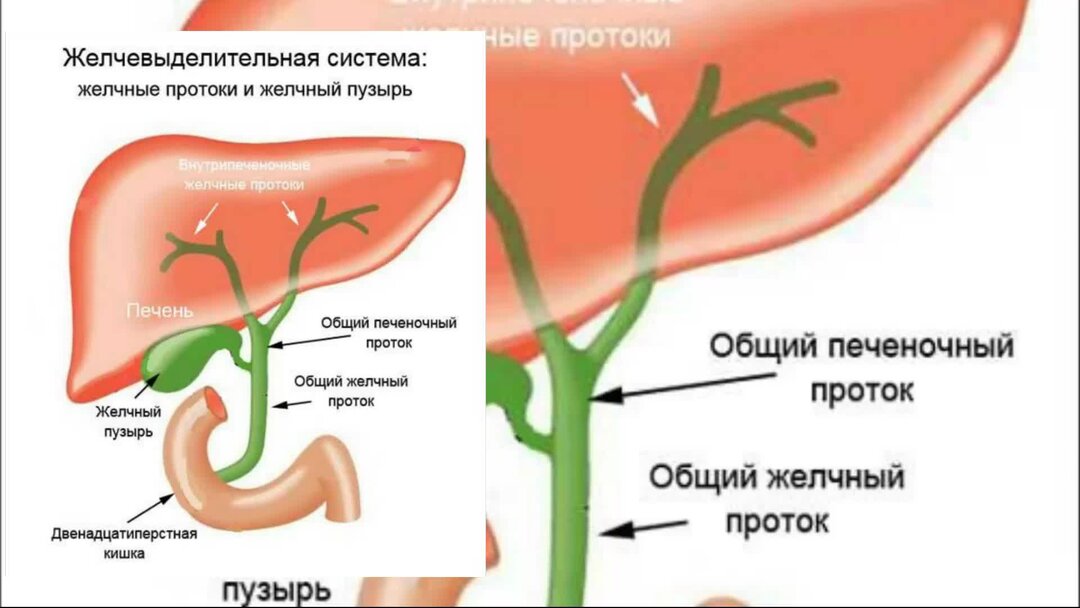 Застой желчи