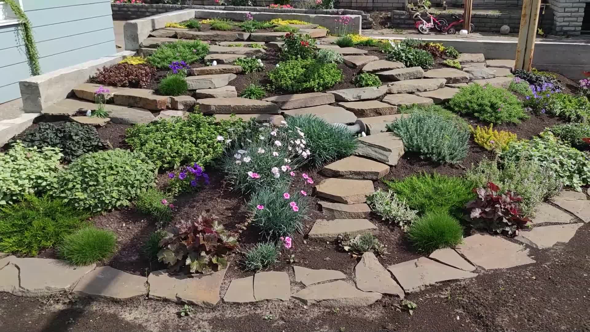 Альпийская горка своими руками