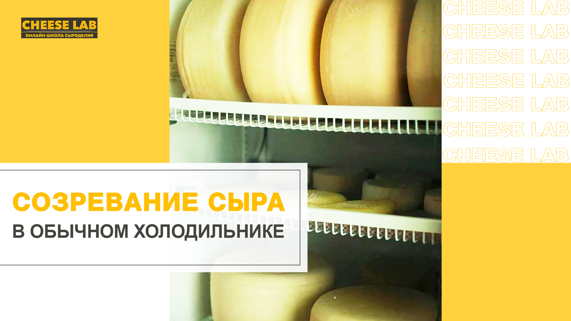 Холодильник для созревания сыра в домашних условиях