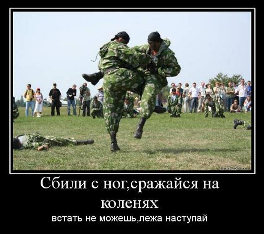 Встань и борись. Встань и борись. Встань и борись. Плакат за своих. Бейся.