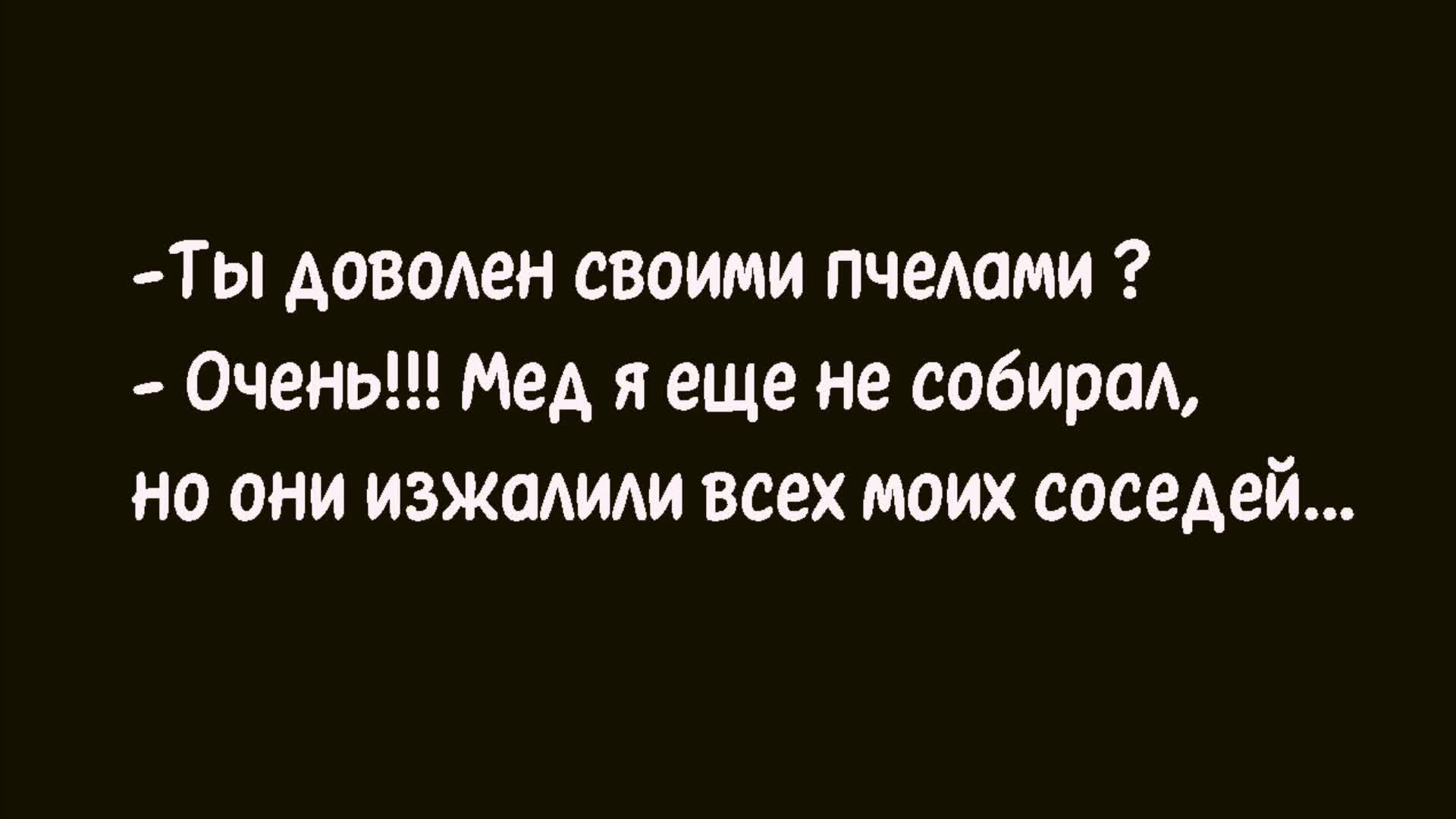 Все понемногу дзен. Мне нужен заместитель который будет переживать и нервничать. Мне нужен заместитель. Мне нужен заместитель который будет переживать. Мне срочно нужен заместитель.