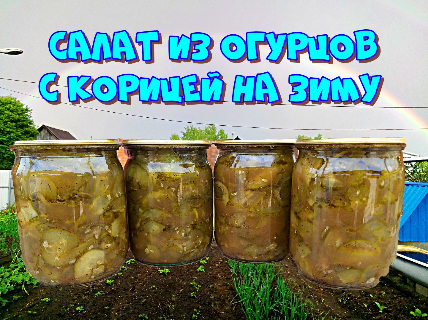 Салат на зиму из огурцов с корицей. Огурцы маринованные дольками. Огурцы с корицей на зиму салат. Салат нежинский из огурцов на зиму без стерилизации. Заготовки из огурцов на зиму ютуб.