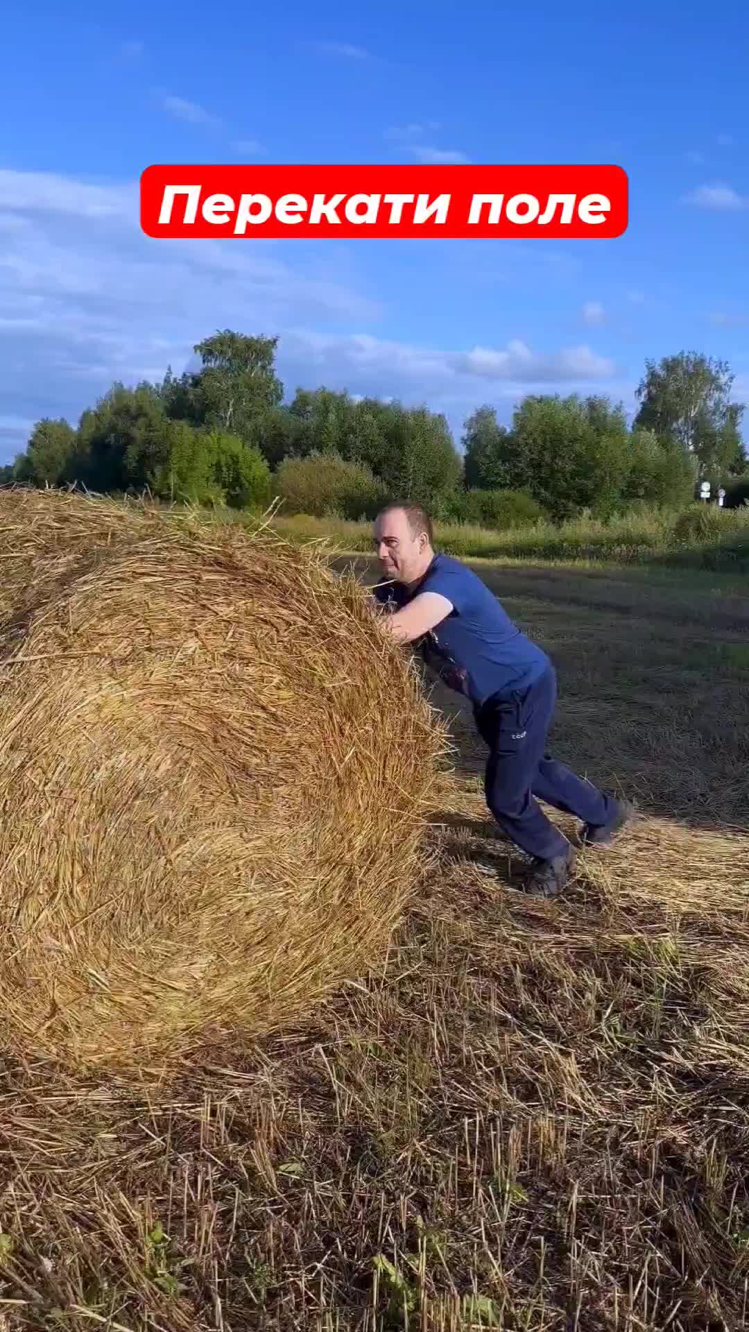 Приколы в поле фото