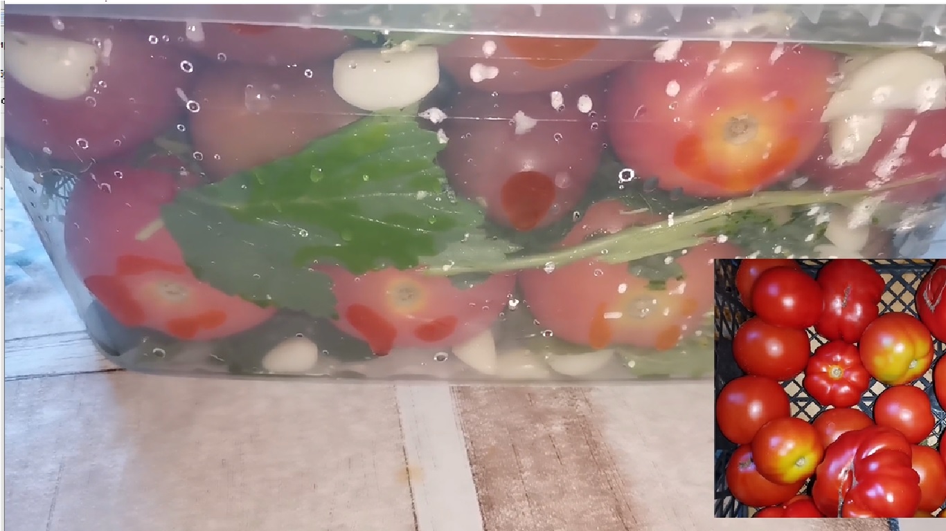 помидоры на зиму с раст маслом фото 60