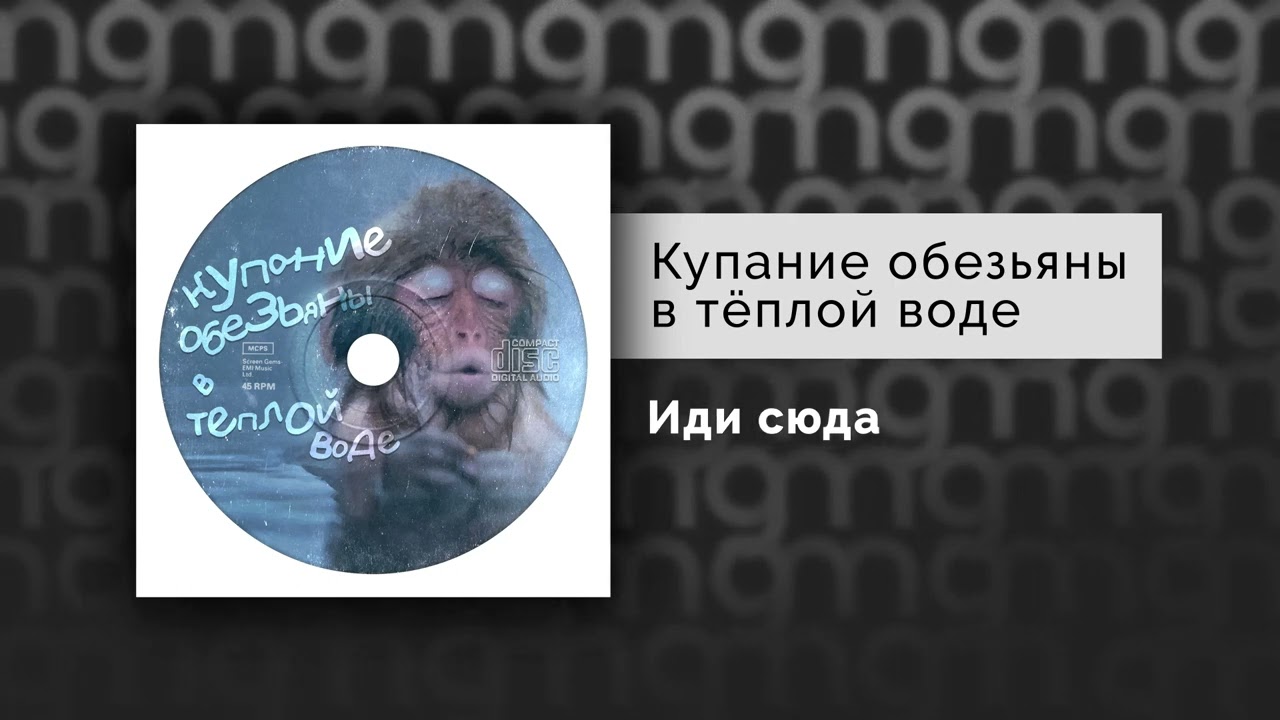 Группа купание обезьяны в теплой воде состав. Купание обезьяны в теплой воде. Купание обезьяны в теплой воде группа. Обезьянка купается тик ток. Купание обезьяны в теплой воде группа состав.