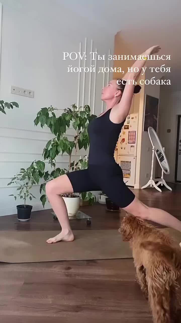 Ксения Томс | Мой лучший помощник 💖 #кавапу #cavapoo #dog #собака #yoga |  Дзен