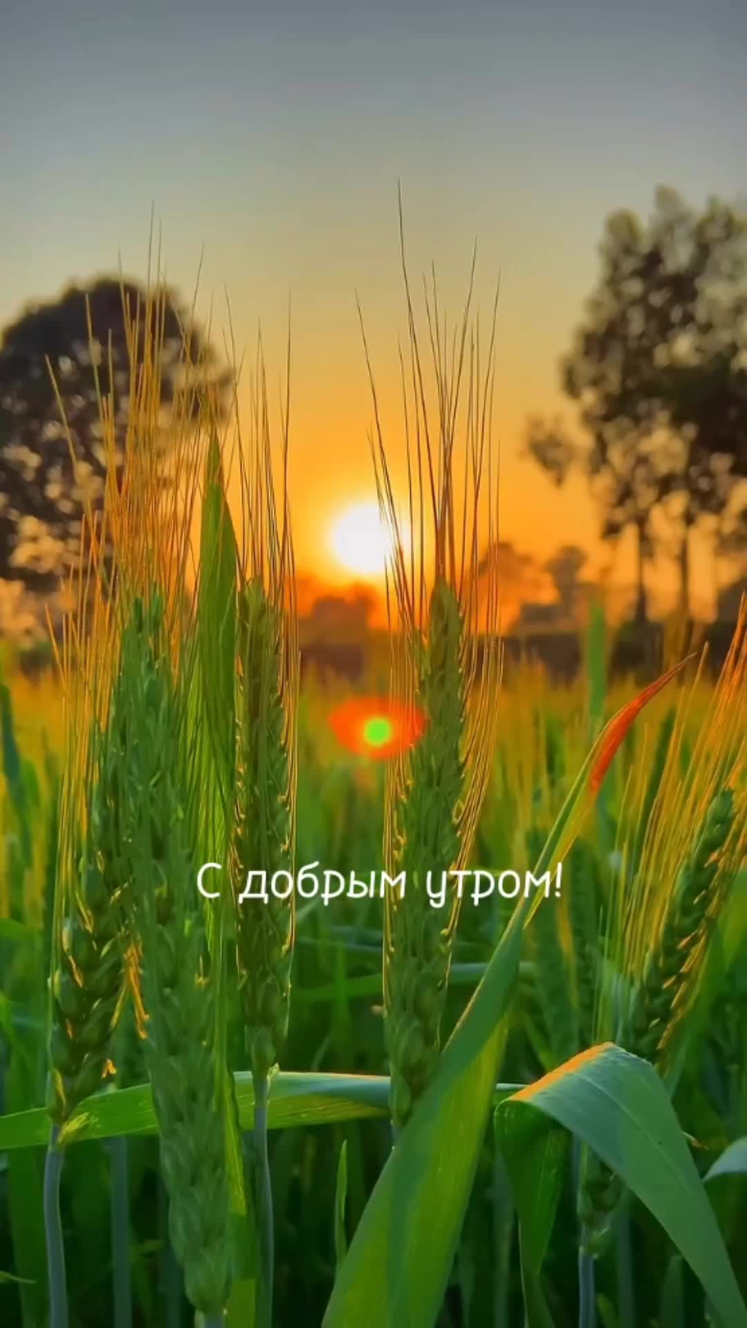 С добрым июльским утром. Доброе 30 августа. Солнечный день. Доброе утро 30 августа 2024. Доброе утро 30 августа 2024.