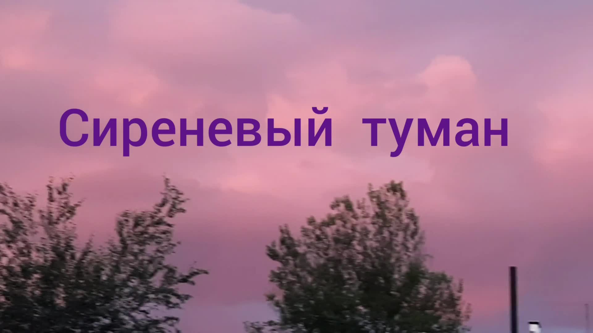 маркин сиреневый. сиреневый туман 416. песня сиреневый туман слушать. сиреневый туман ноты для гитары. песня сиреневый туман слушать.