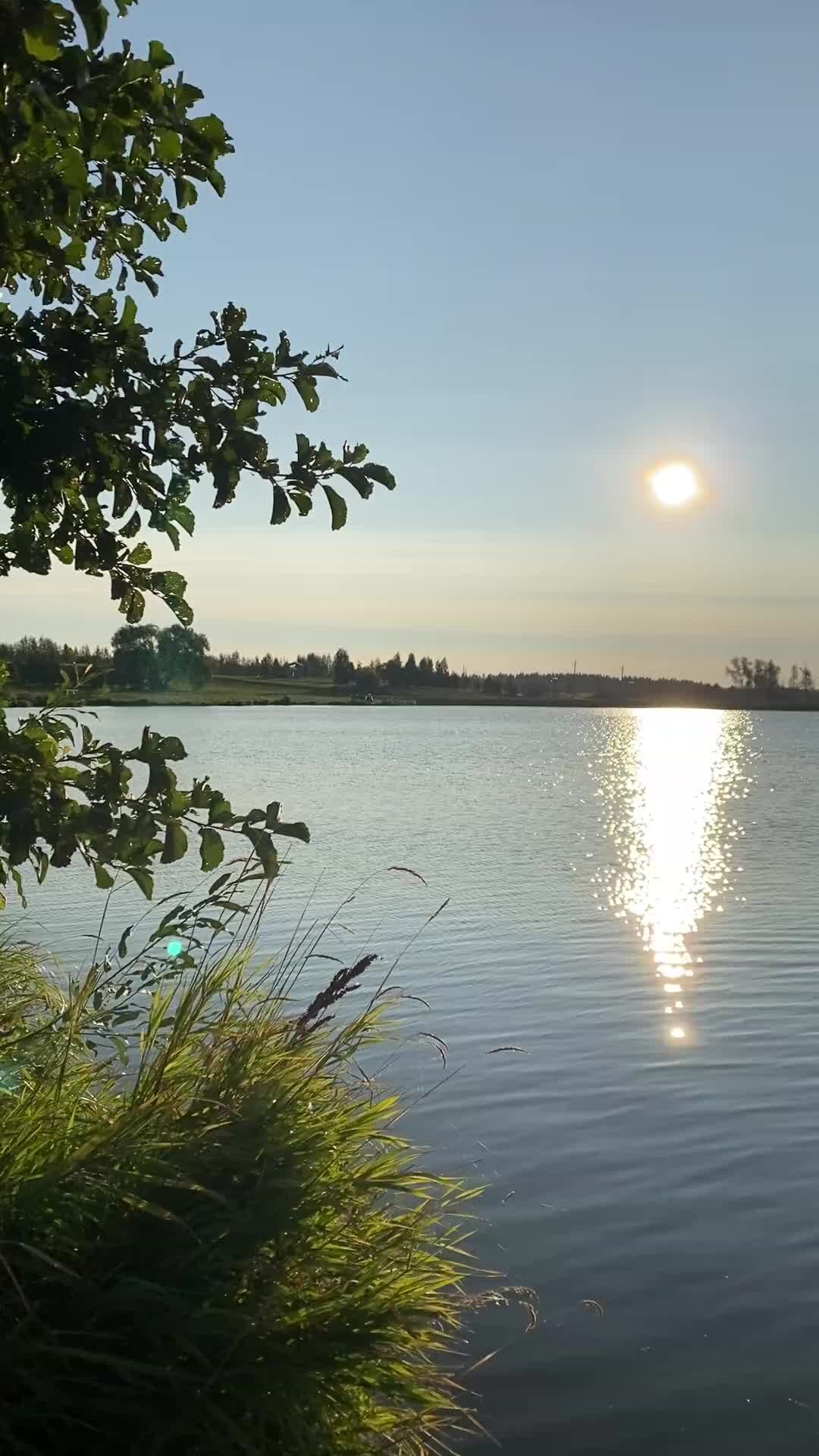 Эко деревня бобровая заводь татарстан. Бобр канадский хатка плотина. Эко деревня бобровая заводь татарстан. Бобровая заводь. Бобровая заводь.