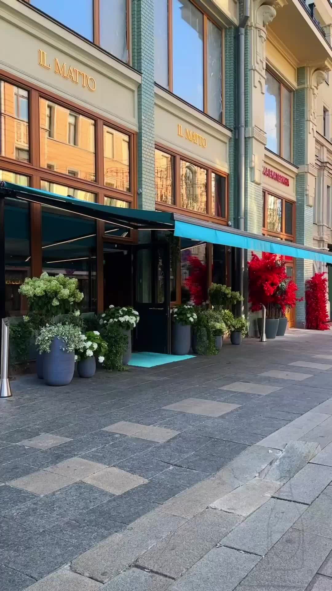 Леонид Брют | «IL MATTO» - карта марсельского таро🃏 с изображением шута ...