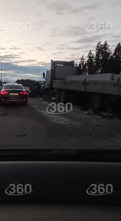 Власти Московской области анонсировали «Праздник Поэзии» в Солнечногорске