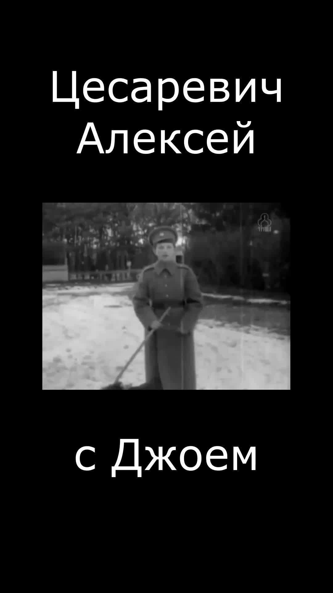 Таша Русская 2.0 | Цесаревич Алексей со своей собакой, Джоем. Про это видео  он сам говорил, что собака тут выглядит умнее его :) | Дзен