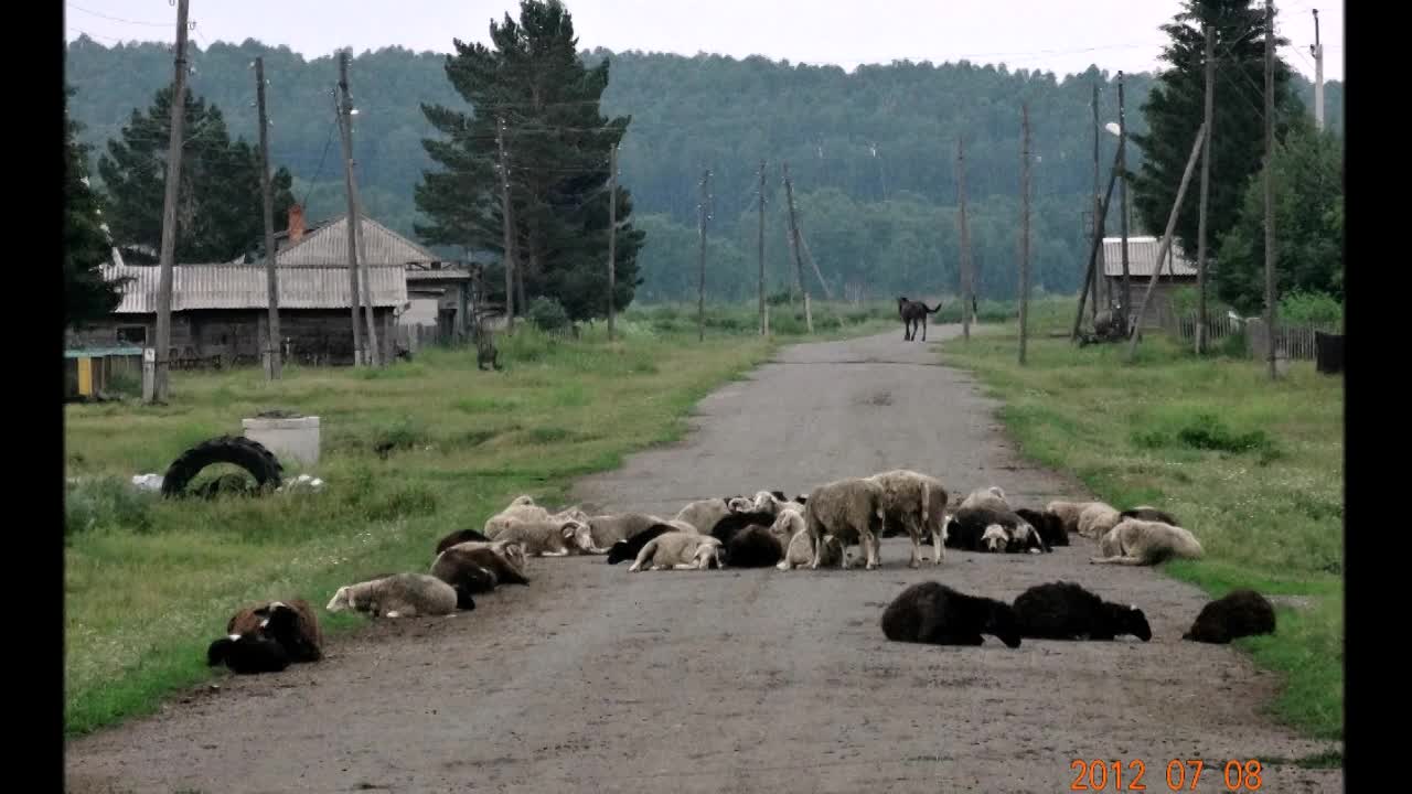 деревенские люди. фотффотфотки деревенская жизнь. встреча нового года в глубинке. сельский репортаж. сельский репортаж.