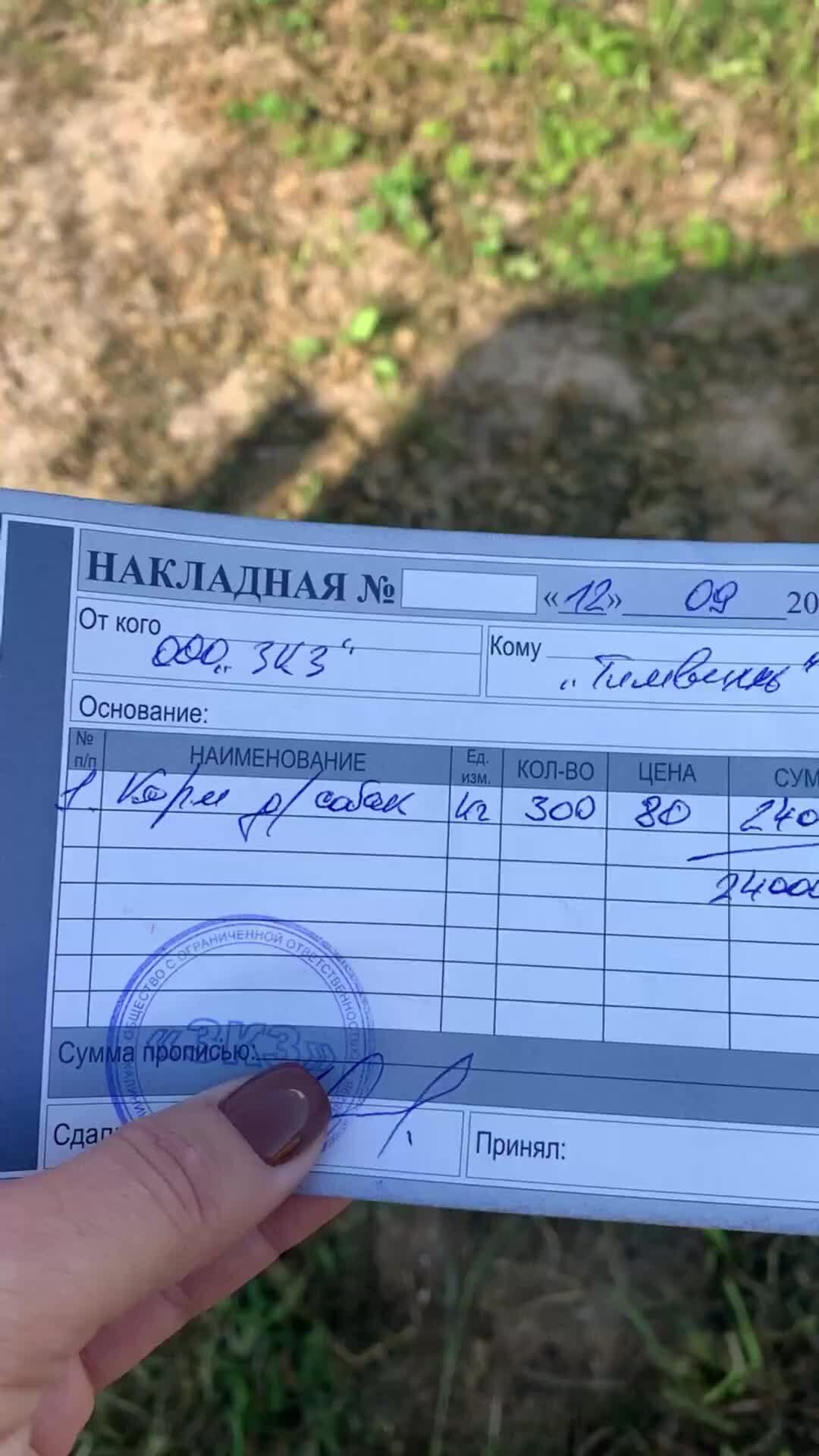 Приют для собак «Тимвилль» | #жизнь_тимвилля | Дзен