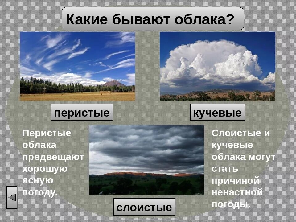 Дождевые облака описание. Чем отличаются тучи от облаков. Виды облаков названия. Кучевые облака перистые облака слоистые облака. Виды облаков названия.