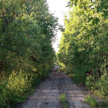 Венера тәрізді фигуралары бар қыздар порно видео
