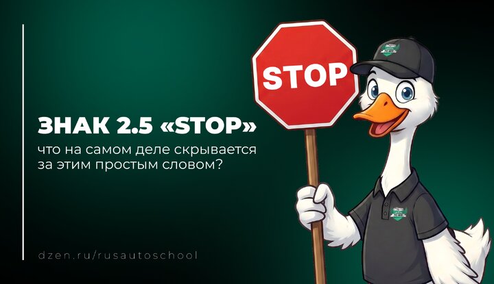 Знак 2.5 «STOP»: что на самом деле скрывается за этим простым словом?