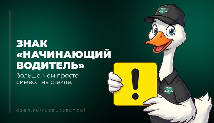 Знак «Начинающий водитель»: больше, чем просто символ на стекле.