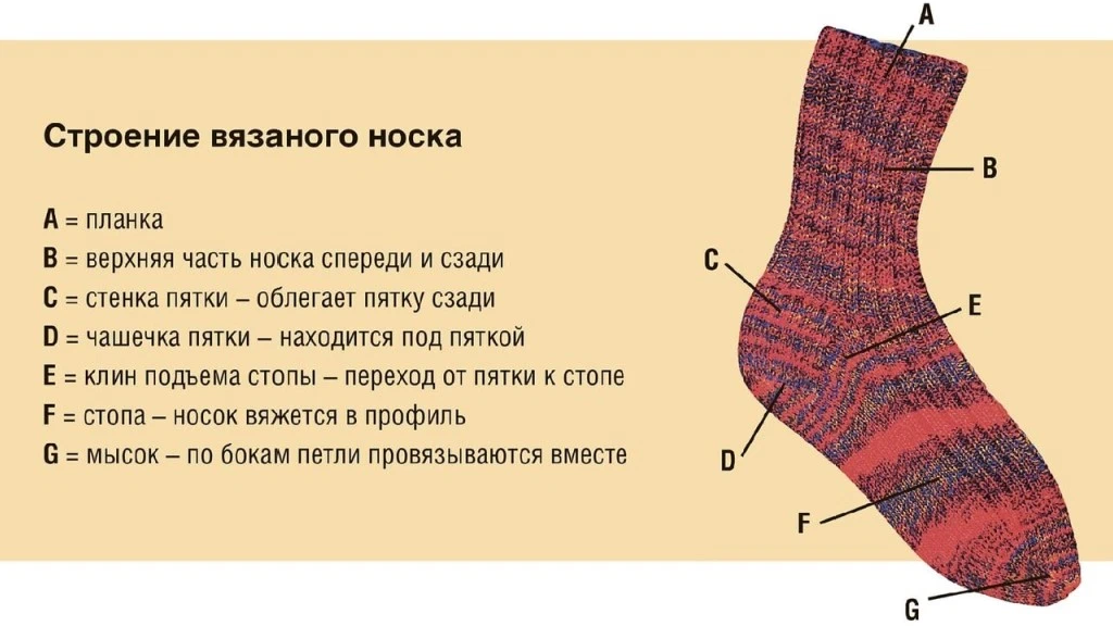 Носки спицами схемы. Строение вязаного носка. Схема носок спицами. Носки мужские спицами схемы.