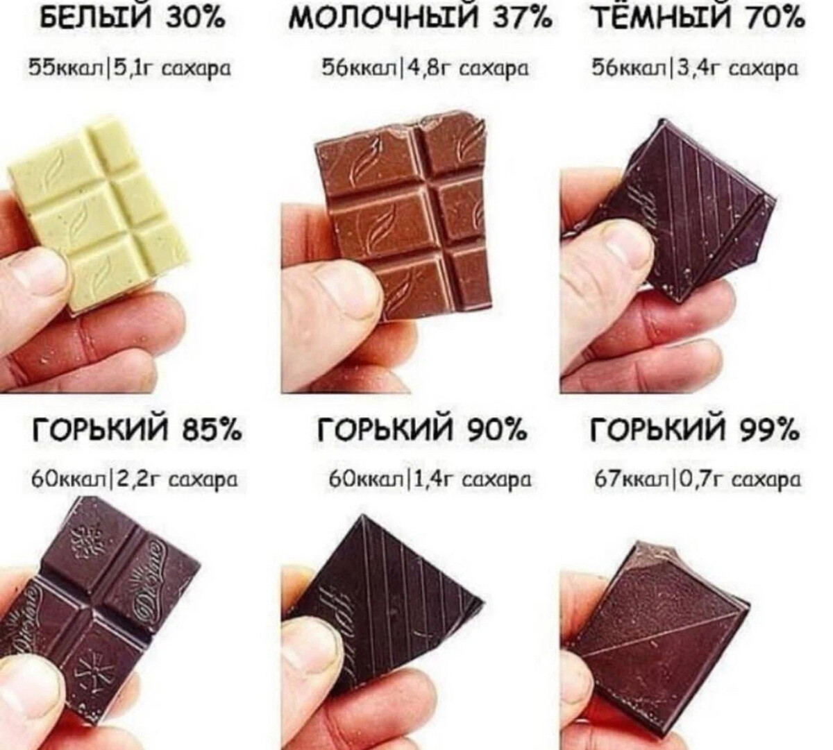 Шоколад интересное
