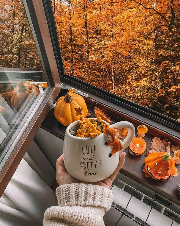 hey beautiful ✨ follow @mayarose_15 for more :)) Autumn home, Fall decor, Fall f