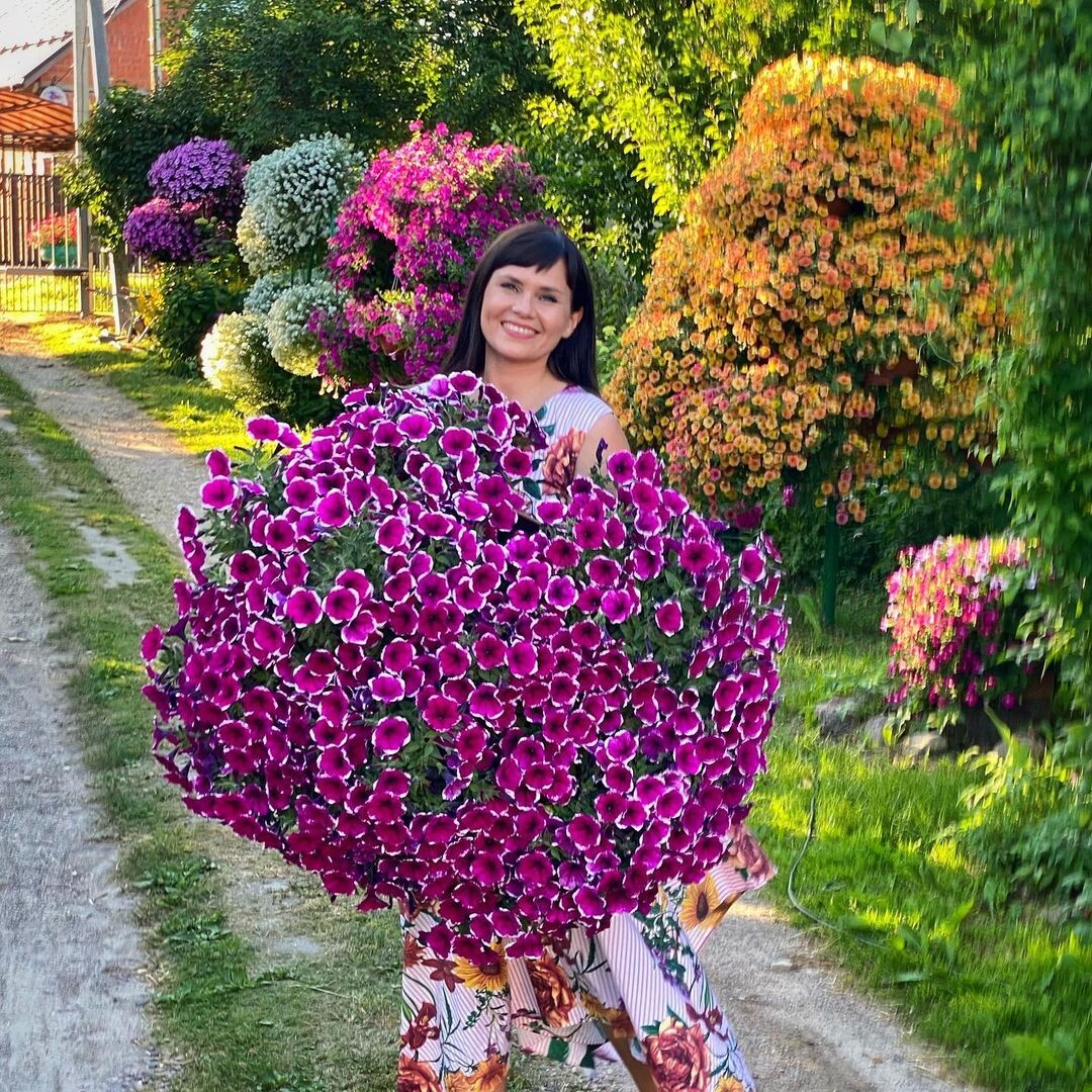 Бульон для петунии марина цветы